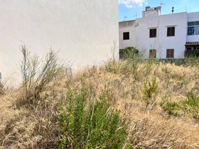 Terreno en venta en Campanet