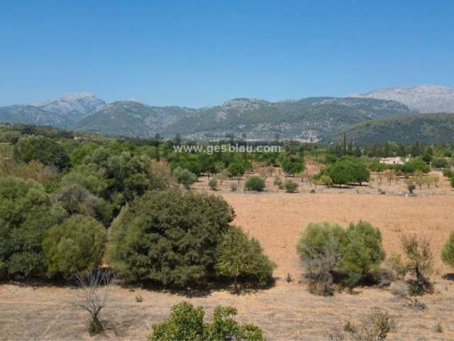 Terreno en venta en Campanet