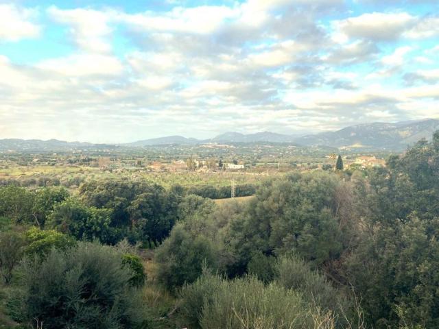 Terreno en venta en Campanet