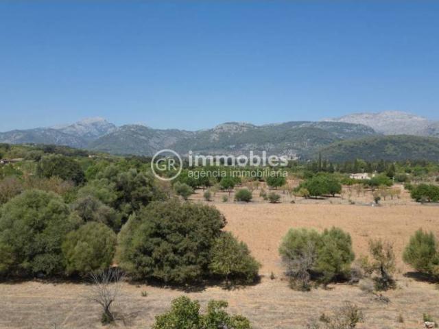 Terreno en venta en Campanet