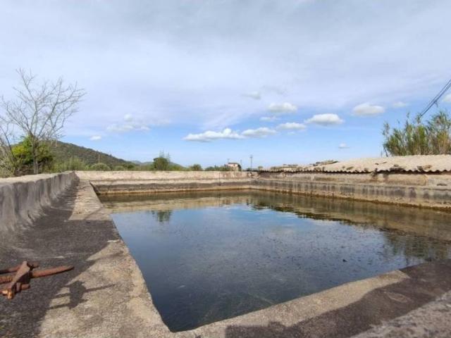Terreno en venta en Raiguer, Baleares