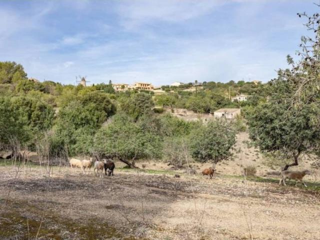 Terreno en venta en Raiguer, Baleares
