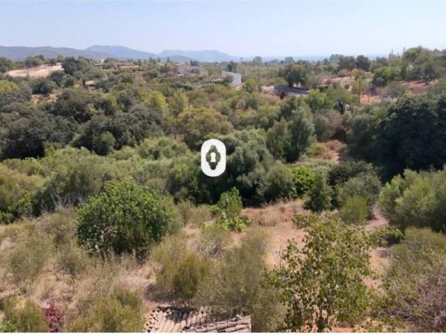 Terreno en venta en Raiguer, Baleares