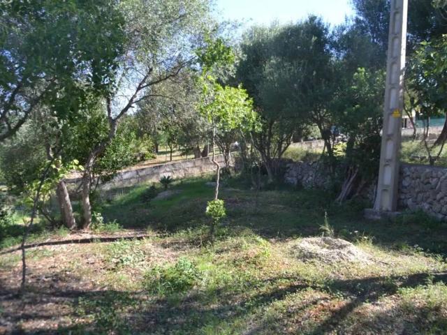 Terreno en venta en Raiguer, Baleares
