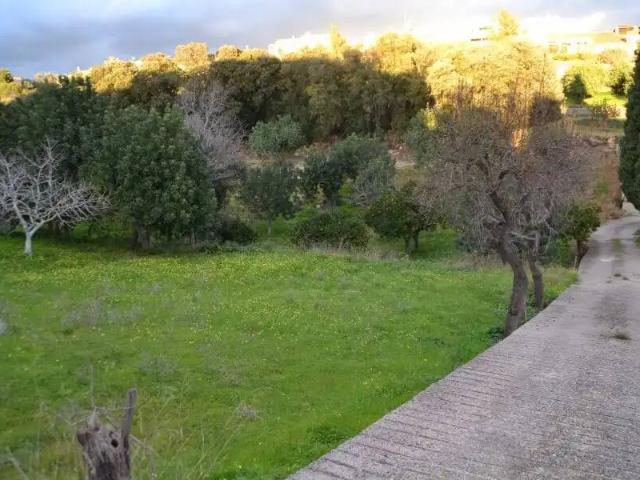 Terreno en venta en Raiguer, Baleares