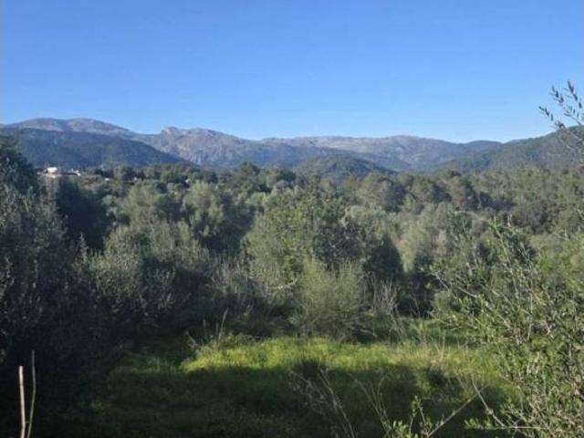 Terreno en venta en Raiguer, Baleares
