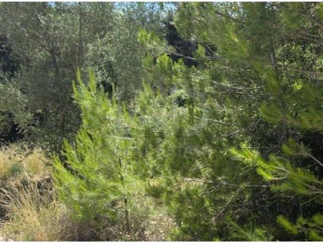 Terreno en venta en Raiguer, Baleares