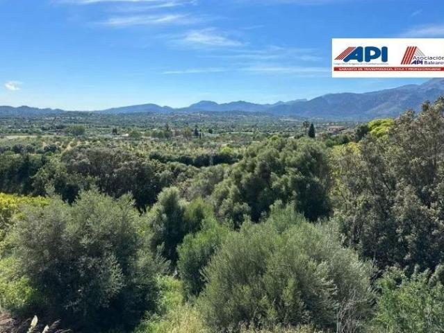 Terreno en venta en Campanet