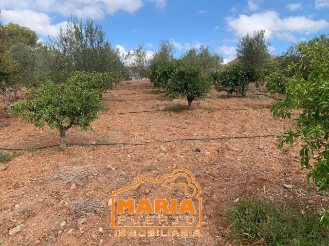 Terreno en venta en Este, Málaga-Costa del Sol