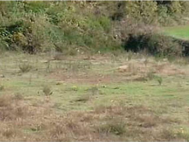 Terreno en venta en Ripollès, Catalunya