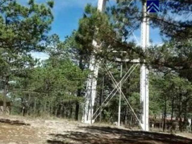 Terreno en venta en Pueblo Nuevo, Durango