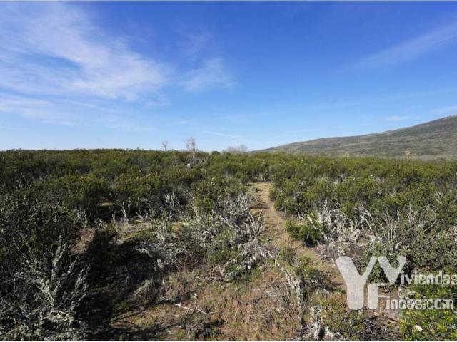 Terreno en venta en Campillo De Ranas