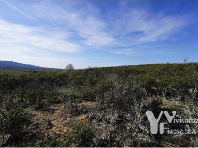 Terreno en venta en Campillo De Ranas, Castilla-La Mancha