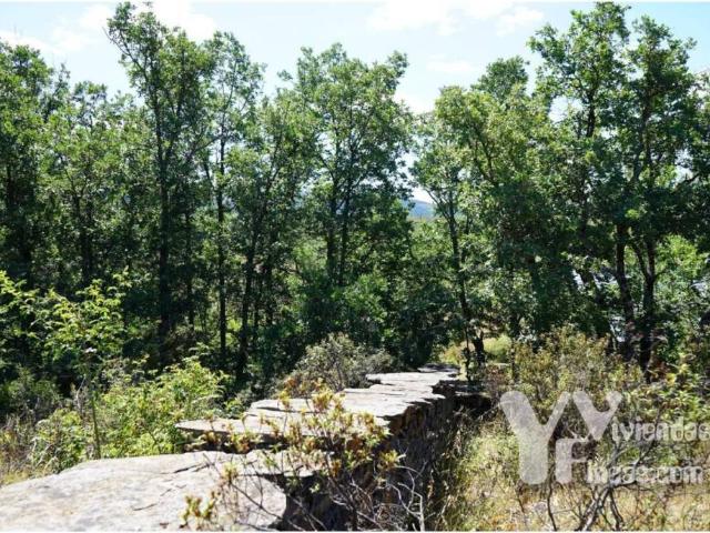 Terreno en venta en Campillo De Ranas