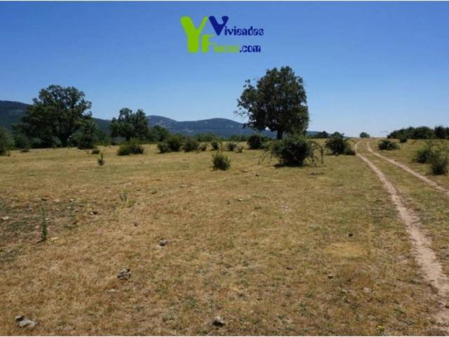 Terreno en venta en Campillo De Ranas