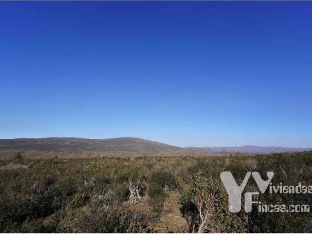 Terreno en venta en Campillo De Ranas, Castilla-La Mancha