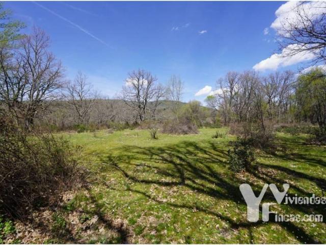 Terreno en venta en Campillo De Ranas