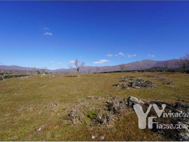 Terreno en venta en Campillo De Ranas, Castilla-La Mancha