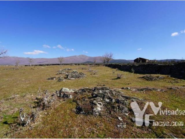 Terreno en venta en Campillo De Ranas