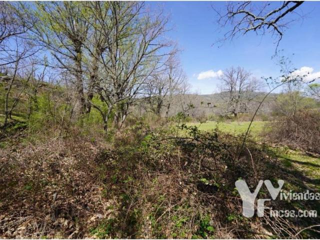 Terreno en venta en Campillo De Ranas, Castilla-La Mancha