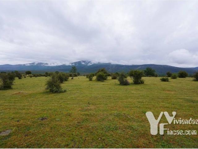 Terreno en venta en Campillo De Ranas