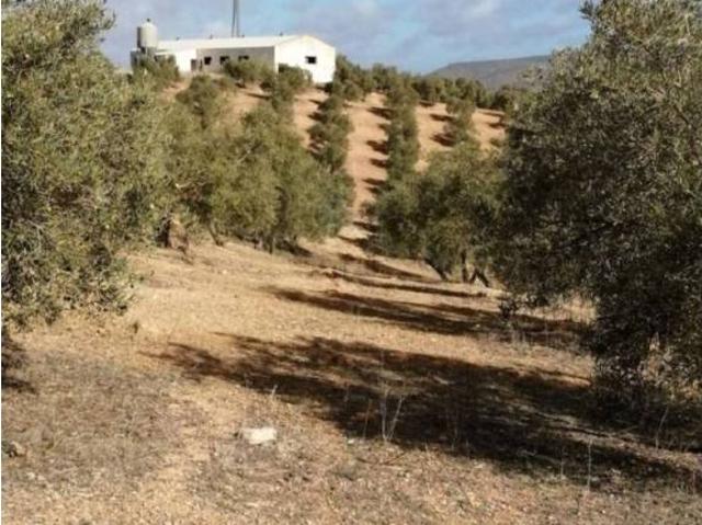 Terreno en venta en Guadalteba, Andalucía