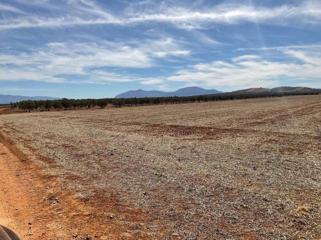 Terreno en venta en Guadalteba, Andalucía