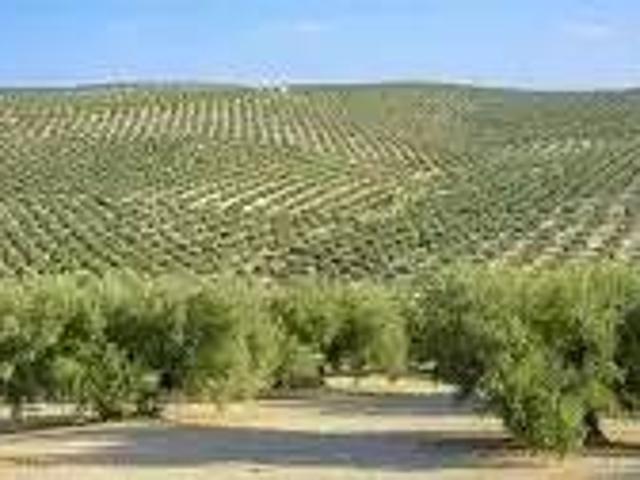 Terreno en venta en Campillos, Málaga
