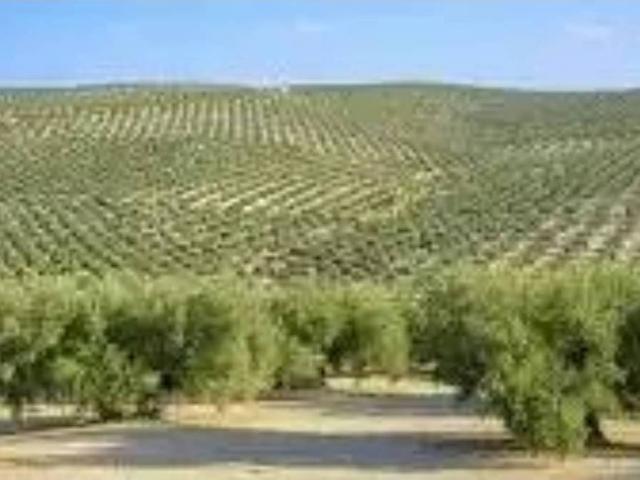 Terreno en venta en Guadalteba, Andalucía