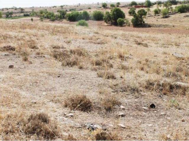 Terreno en venta en Campo De Criptana, Castilla-La Mancha