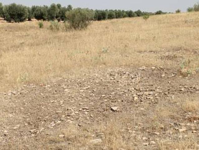 Terreno en venta en Campo De Criptana, Castilla-La Mancha