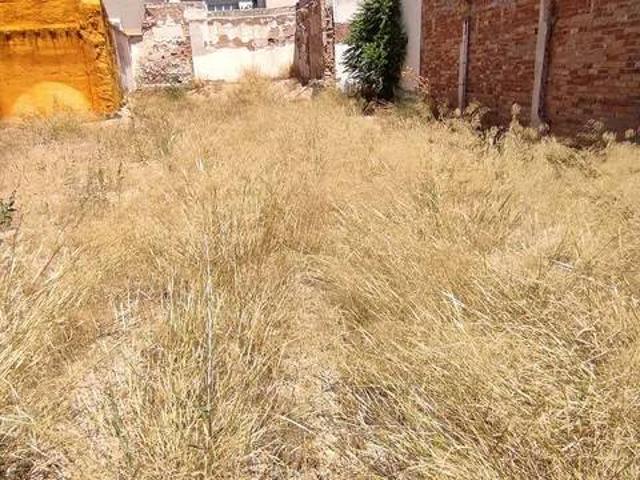 Terreno en venta en Campo De Criptana, Castilla-La Mancha