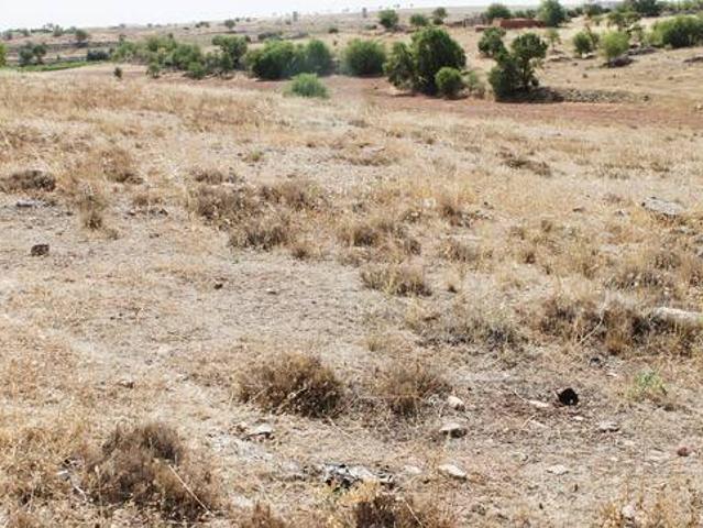 Terreno en venta en Campo De Criptana, Castilla-La Mancha