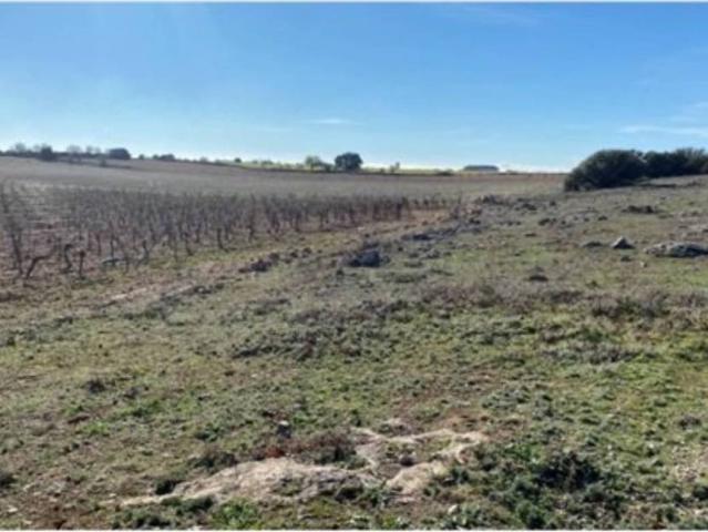 Terreno en venta en Campo De Criptana, Castilla-La Mancha