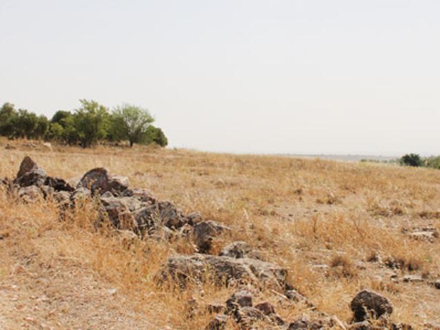 Terreno en venta en Campo De Criptana