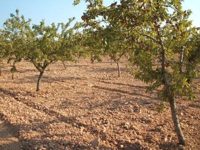 Terreno en venta en l'Alt Vinalopó / El Alto Vinalopó, Valencia