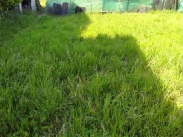 Terreno en venta en El Bierzo, Castilla y León