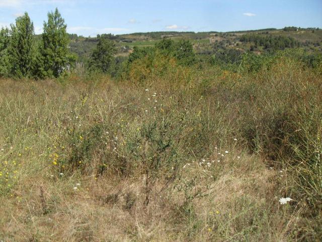 Terreno en venta en El Bierzo, Castilla y León