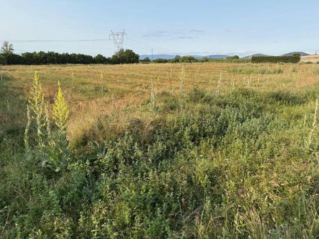 Terreno en venta en El Bierzo, Castilla y León