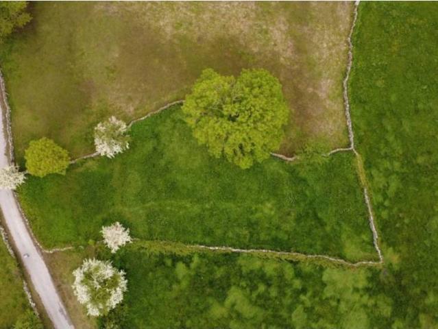 Terreno en venta en Campoo De Yuso, Cantabria