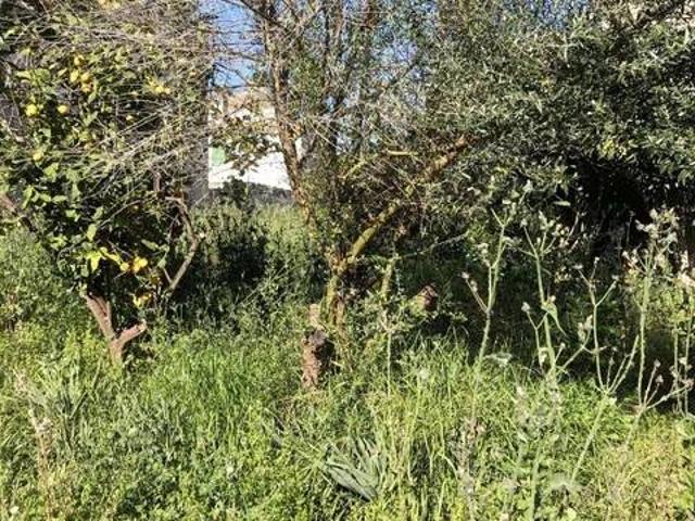 Terreno en venta en Migjorn, Baleares