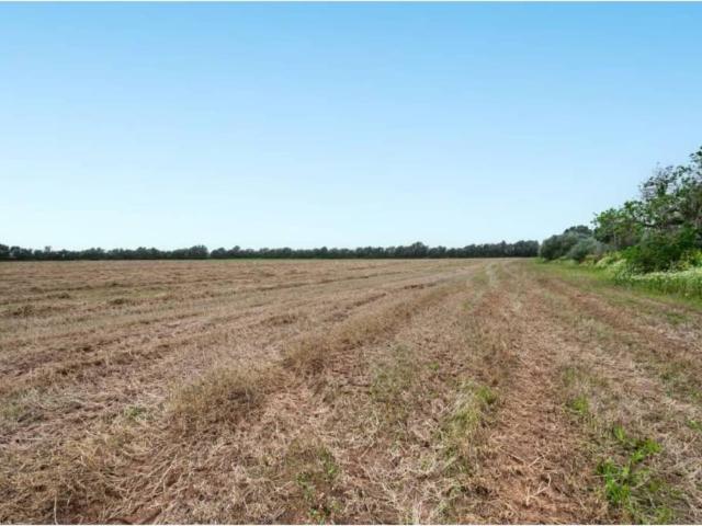 Terreno en venta en Migjorn, Baleares