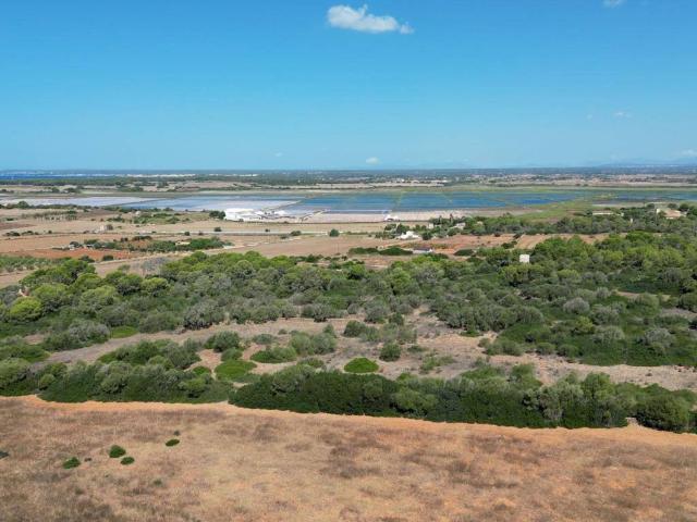 Terreno en venta en Migjorn, Baleares