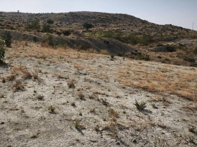 Terreno en venta en Río Mula, Murcia