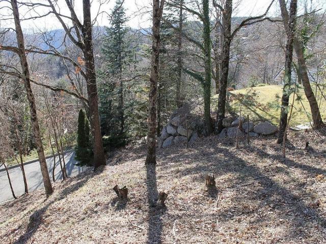 Terreno en venta en Ripollès, Catalunya