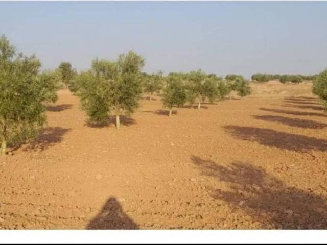 Terreno en venta en Camuñas, Castilla-La Mancha