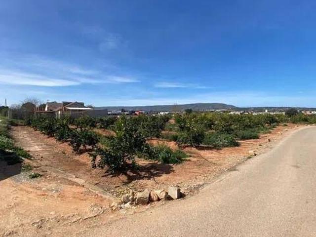 Terreno en venta en Torre Cerdà, la Costera