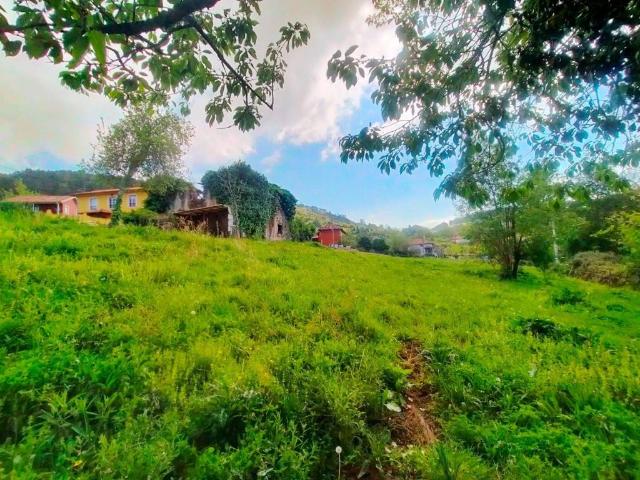Terreno en venta en Candamo