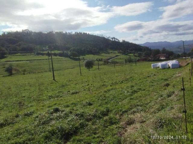 Terreno en venta en Candamo, Asturias