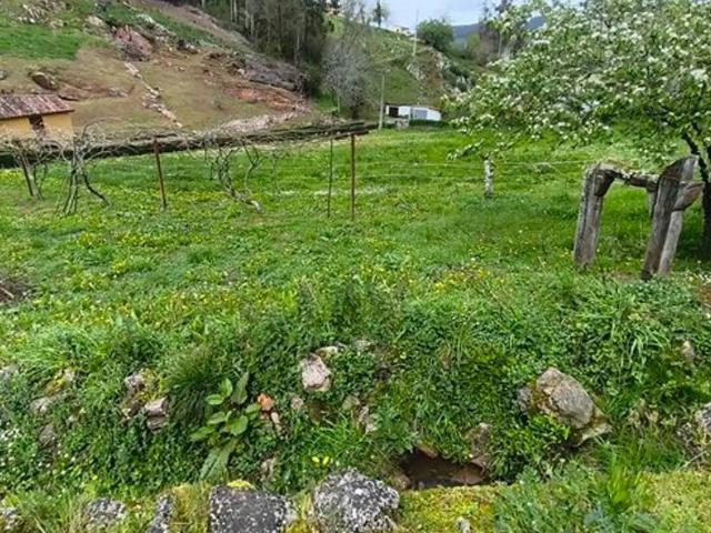 Terreno en venta en Candamo, Asturias